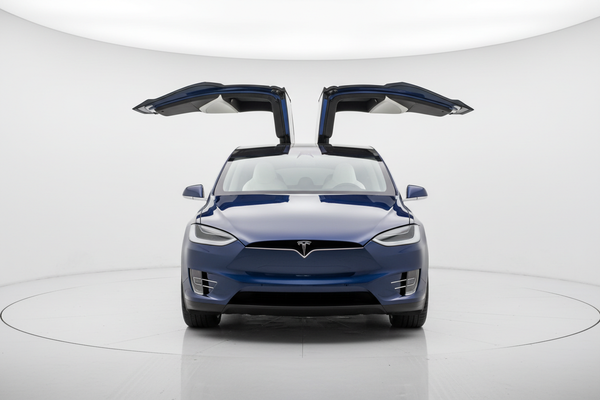 Model X